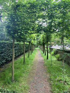 Peover Hall Tree Lined Walk